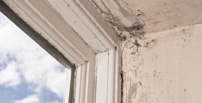 What exactly is Rising Damp?