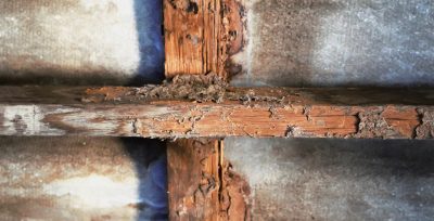 How to Prevent Wet Rot in London