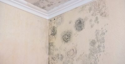 Symptoms of Penetrating Damp