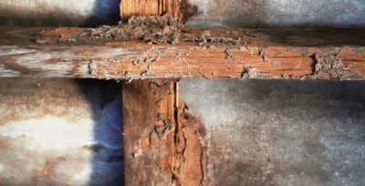 What is Dry Rot?